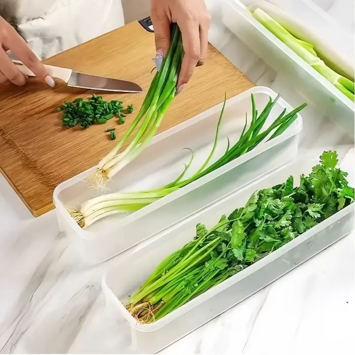 Lot de 1/2/4 boîtes de conservation hermétiques en plastique pour cuisine