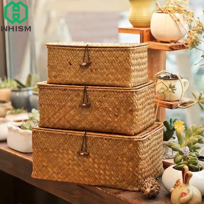 WHISM-Panier de rangement en osier tissé avec couvercle, boîte de rangement d'articles divers en rot