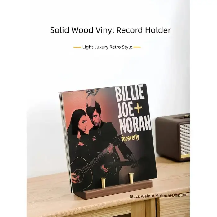 Support de rangement pour disques vinyles
