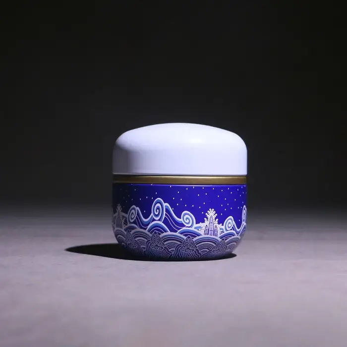 Boîte de rangement japonaise en métal pour thé et café, conteneur d'épices, mini caddie de stockage,