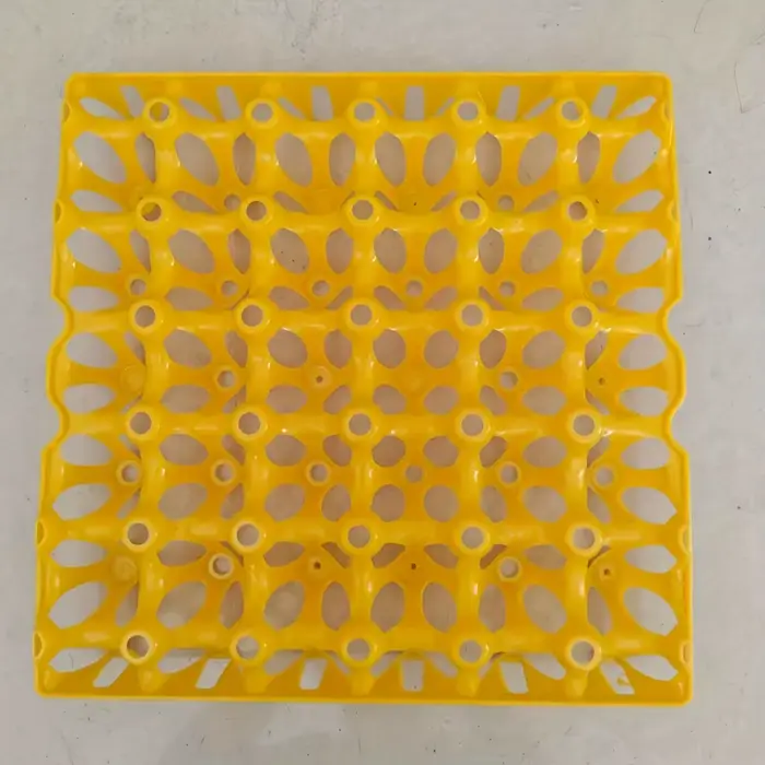 Boîtes à œufs en vrac (2/4 pièces), plateaux à œufs en plastique, boîtes à œufs en plastique pour le