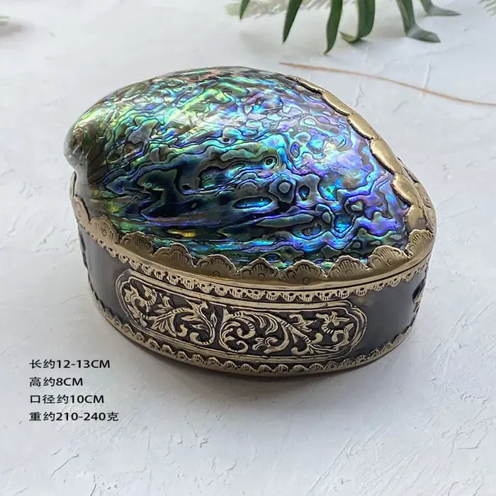 Boîte de rangement en coquille d'ormeau naturel, artisanat de richesse exquis, accessoire Photo créa