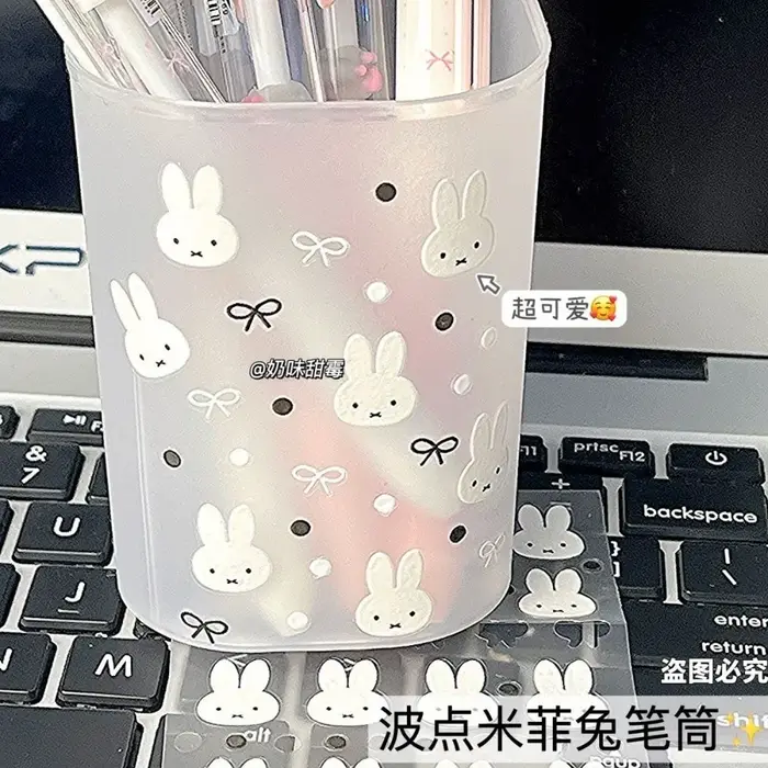 Boîte de rangement Miffy transparente