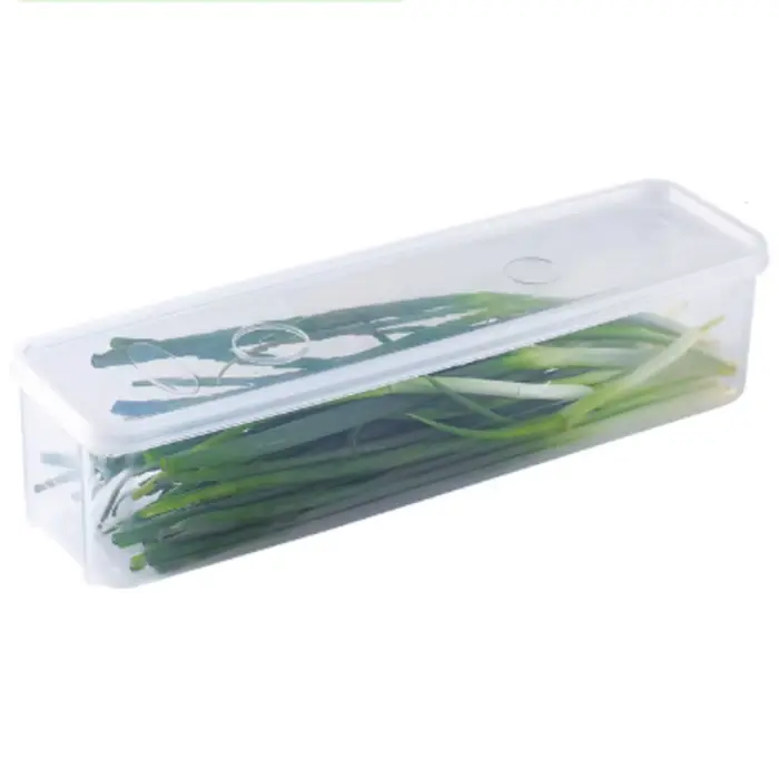 Cilantro – boîte de rangement d'oignons, réfrigérateur, conteneur de conservation frais avec couverc