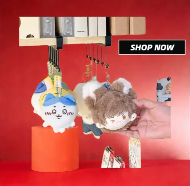 Support de rangement pour armoire