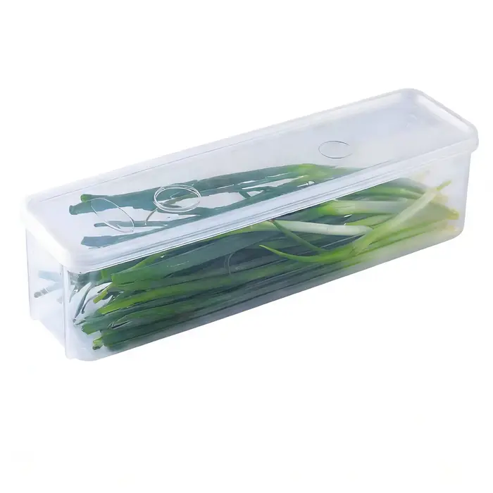 Boîte de conservation pour oignon vert frais, en plastique, avec couvercle, pour réfrigérateur, pour