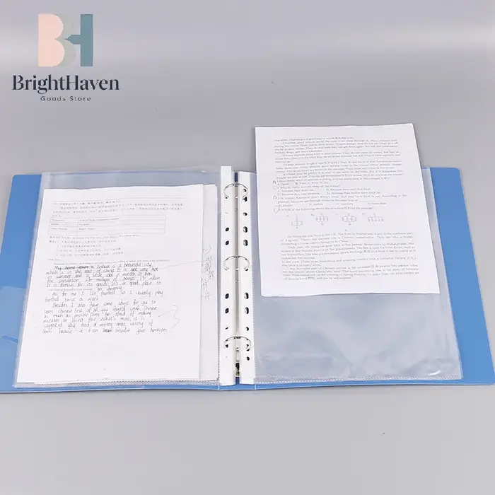 Organisateur de documents transparent pour classeur à feuilles mobiles