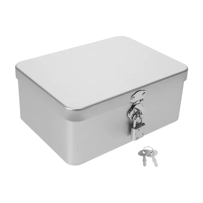 Boîte en métal avec couvercle, boîte de rangement en métal pour objets de valeur, argent liquide, bi